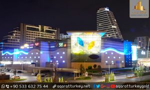 الاستثمار في سكاريا